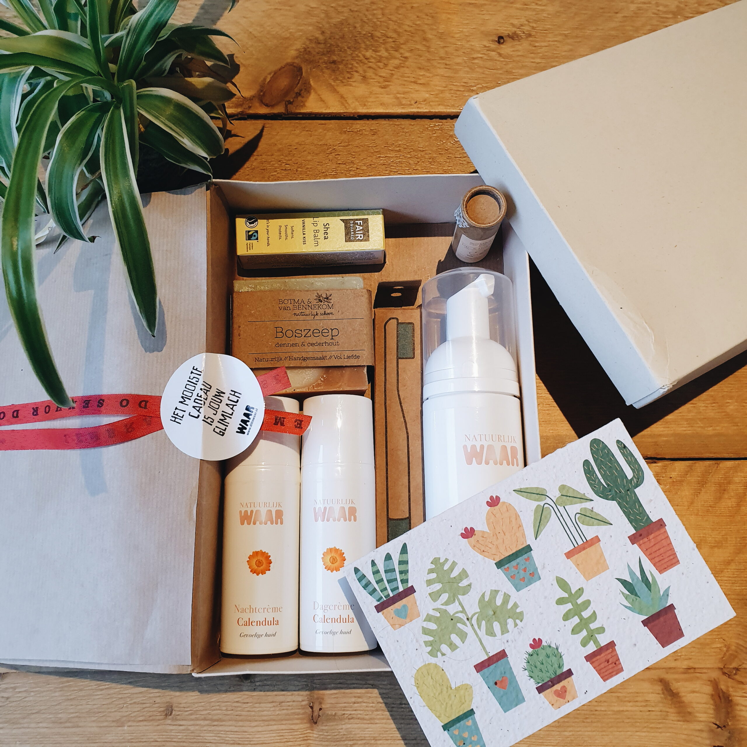 beste natuurlijke verzorgingsproducten