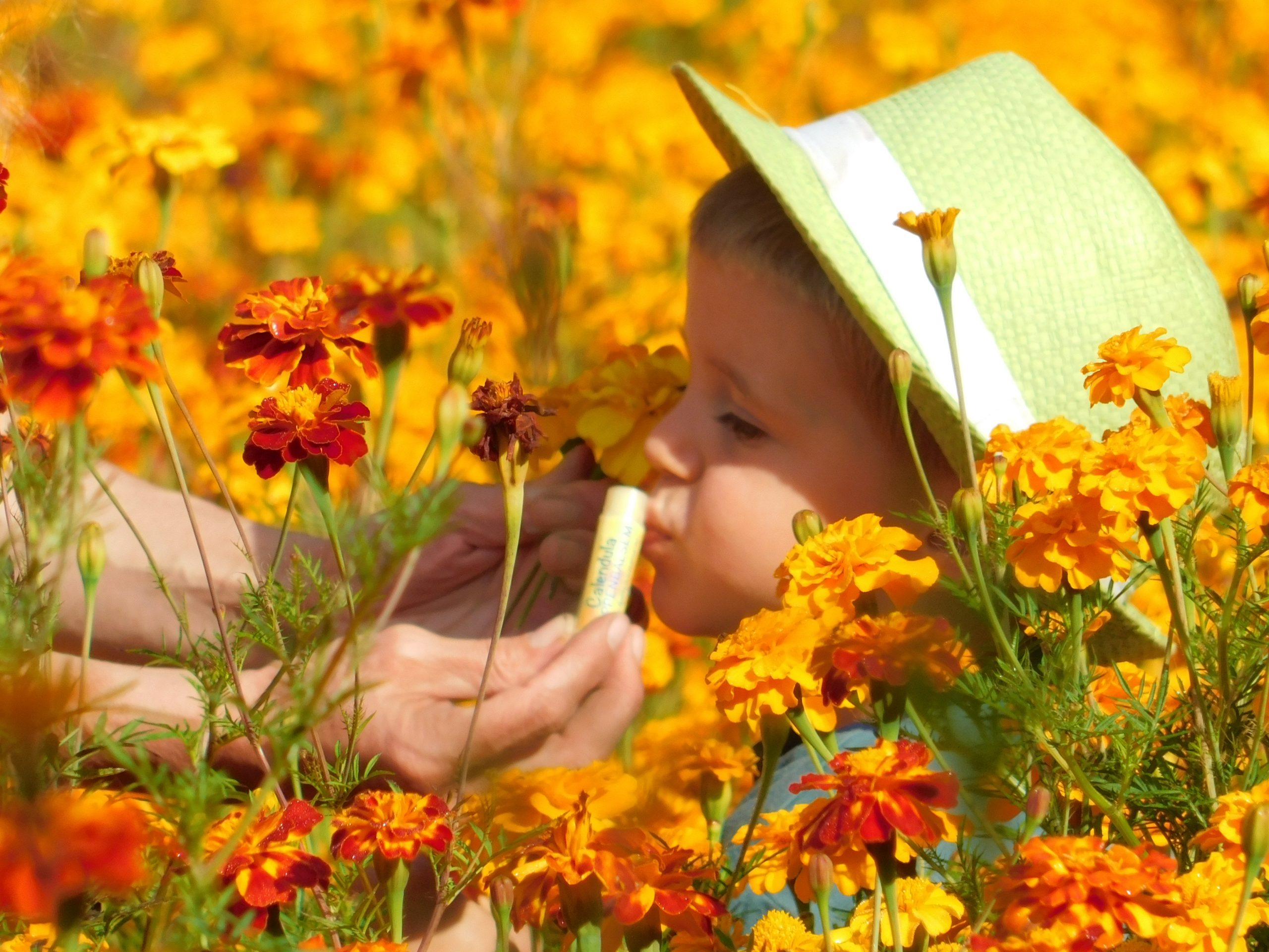 de tuinen lippenbalsem
